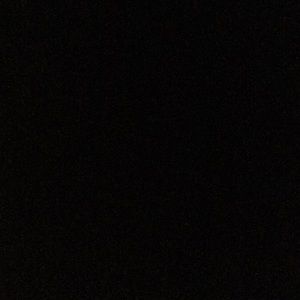 Meet your Posher, Izzy